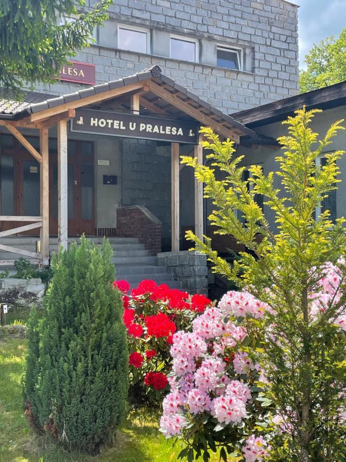 Imladris, U Pralesa Appartement *