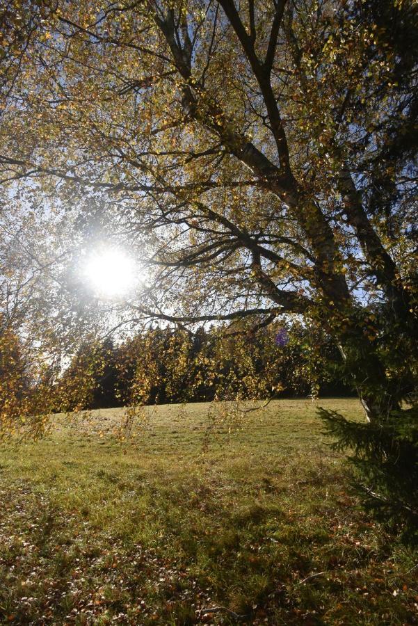 Imladris, U Pralesa * Benesov nad Cernou
